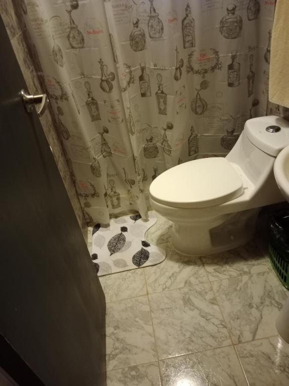 ein Badezimmer mit Toilette und Duschvorhang in der Unterkunft Cabaña Arte Patagonia in Puyehue