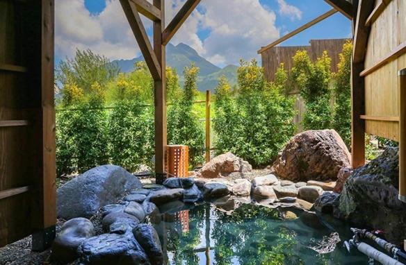 Vergrößerte Ansicht