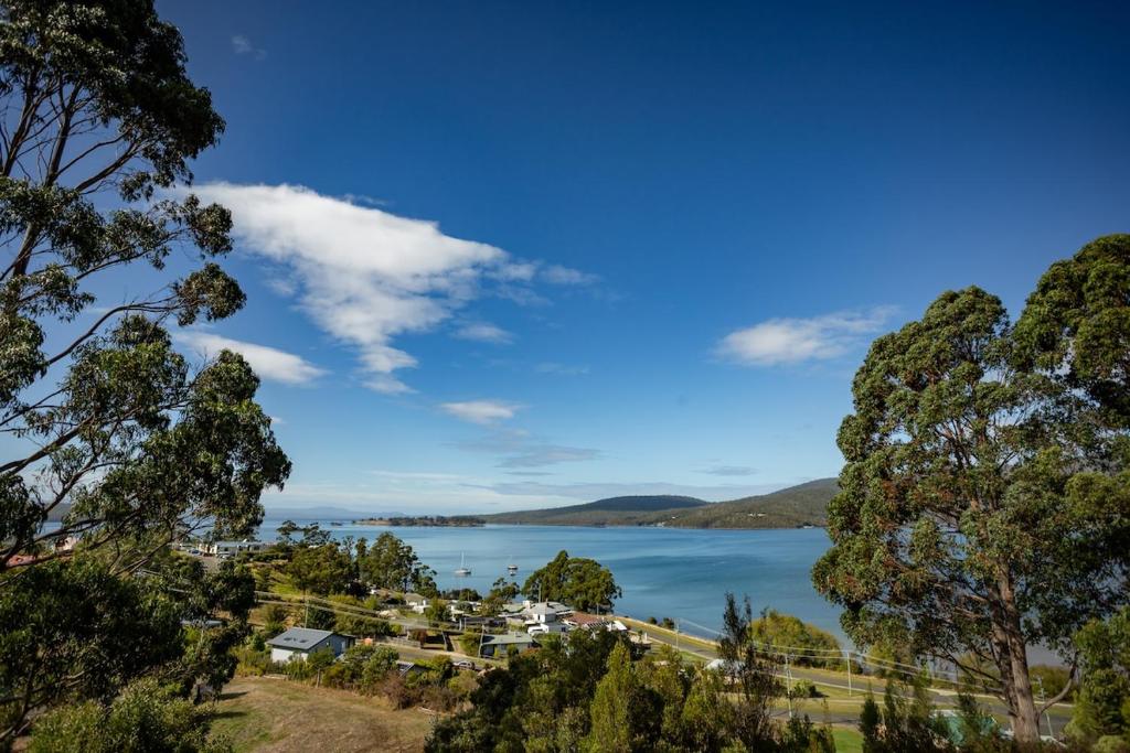 a view of a lake from a hill with trees at Beyond the View in Dover