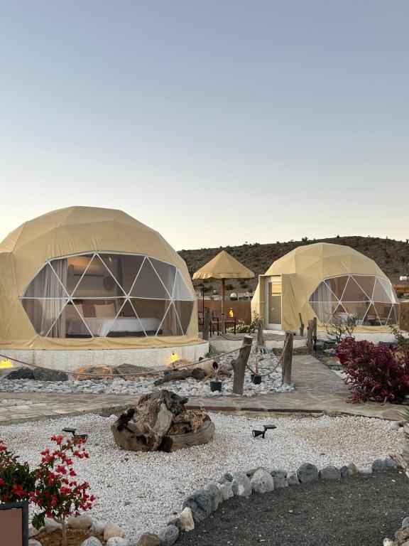 a group of three domed tents in a field at Jabal shams domes in Sa‘ab Banī Khamīs