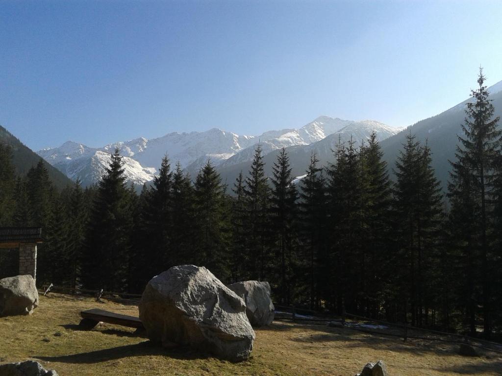 a large rock and a bench in front of a mountain at Apartmány Grobarčík in Zuberec