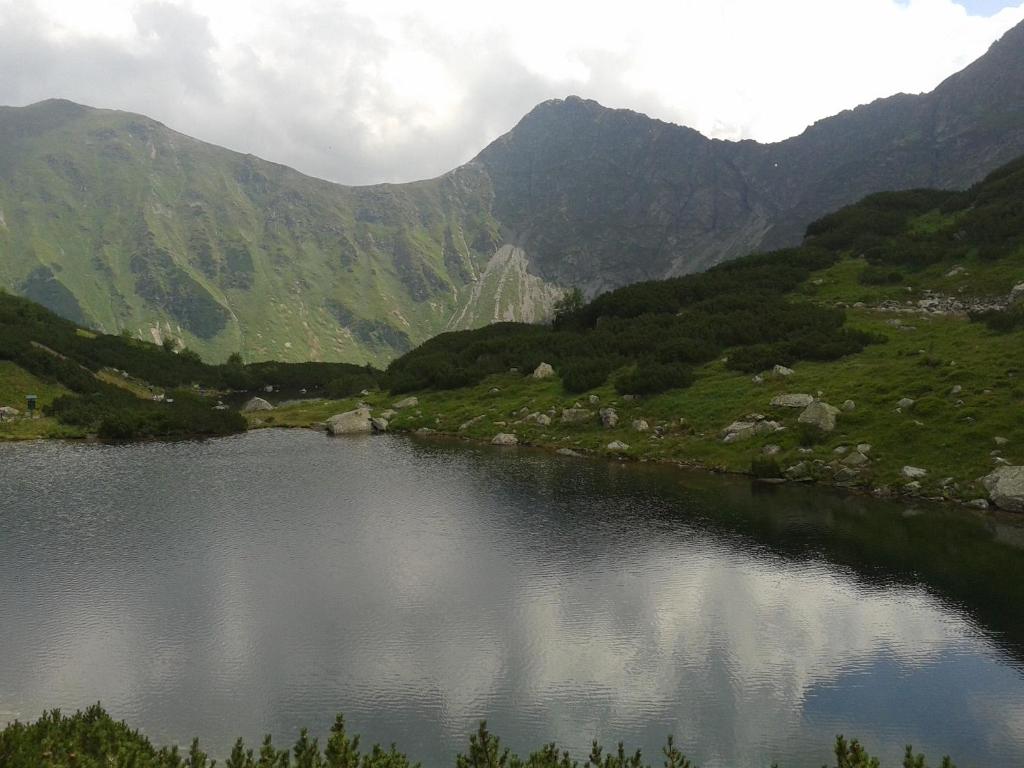 a view of a river with mountains in the background at Apartmány Grobarčík in Zuberec
