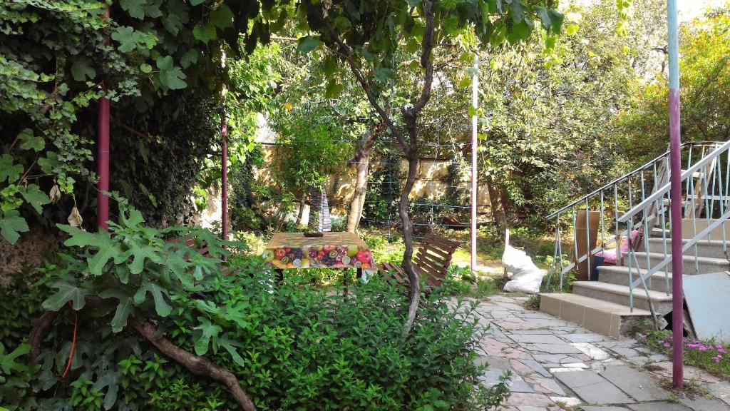 Zahrada ubytování Lemon Family GuestHouse