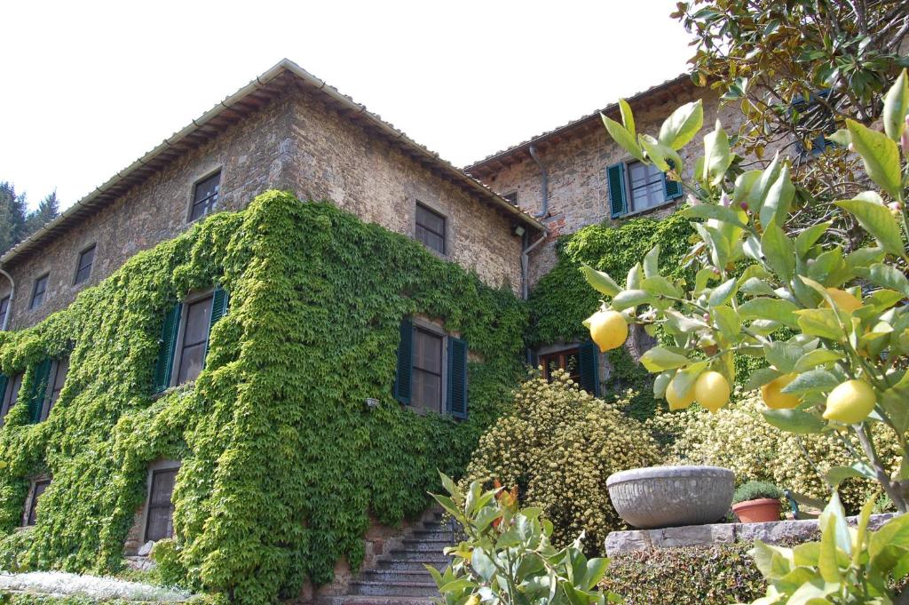 Zahrada ubytování Badia a Coltibuono Wine Resort