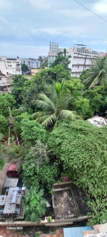 a view of a city with palm trees and buildings at Cosy Heights Vizag in Visakhapatnam