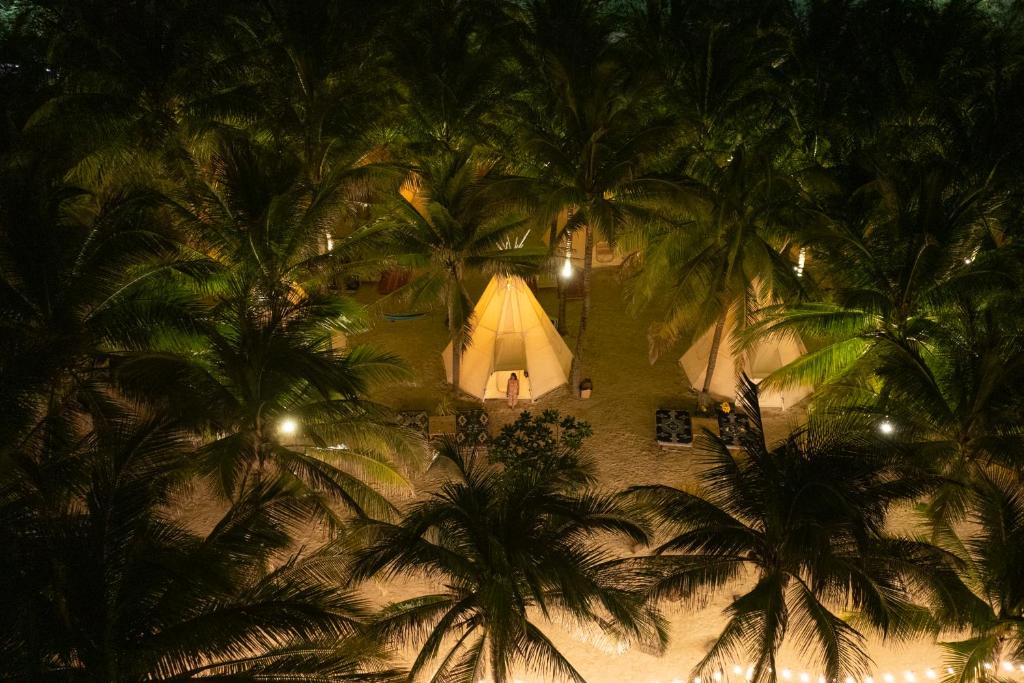 an aerial view of a tent between palm trees at night at Tropical eglamping Mũi Né in Ấp Long Sơn