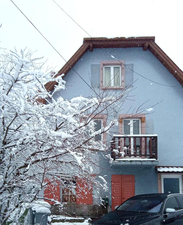 a house with a snow covered tree in front of it at La Petite demeure in Le Hohwald