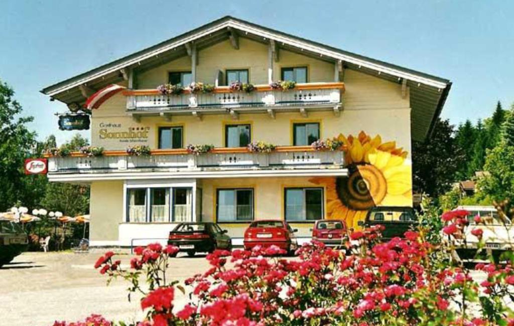 a building with cars parked in front of it at Sportpension Sonnhof in Taxenbach