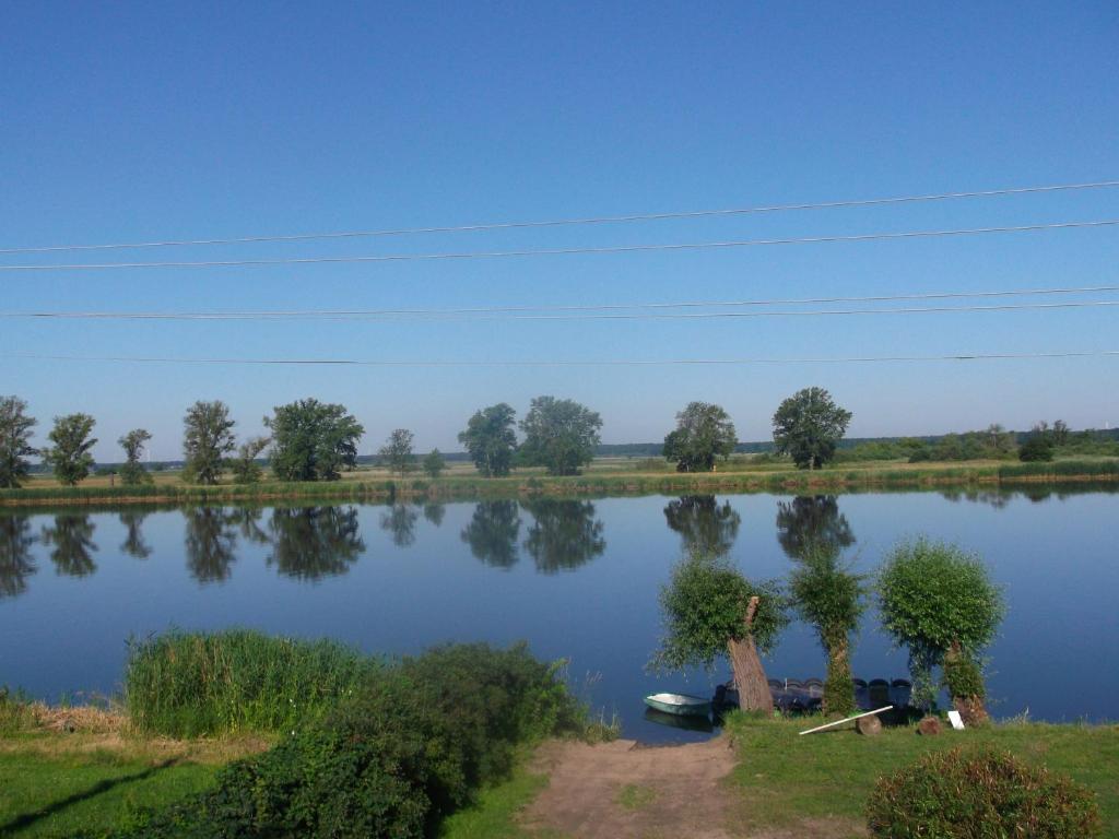 einem großen See mit Bäumen in der Mitte in der Unterkunft Nad Odra in Widuchowa