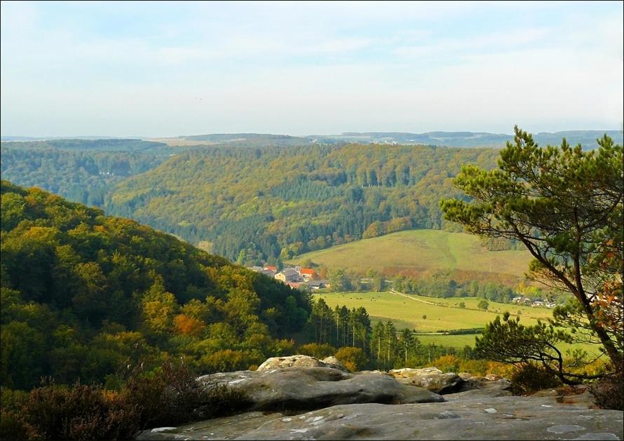 Příroda nedaleko bed and breakfast