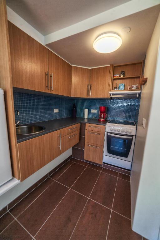 Kuchyň nebo kuchyňský kout v ubytování Sólheimar Studio Apartment