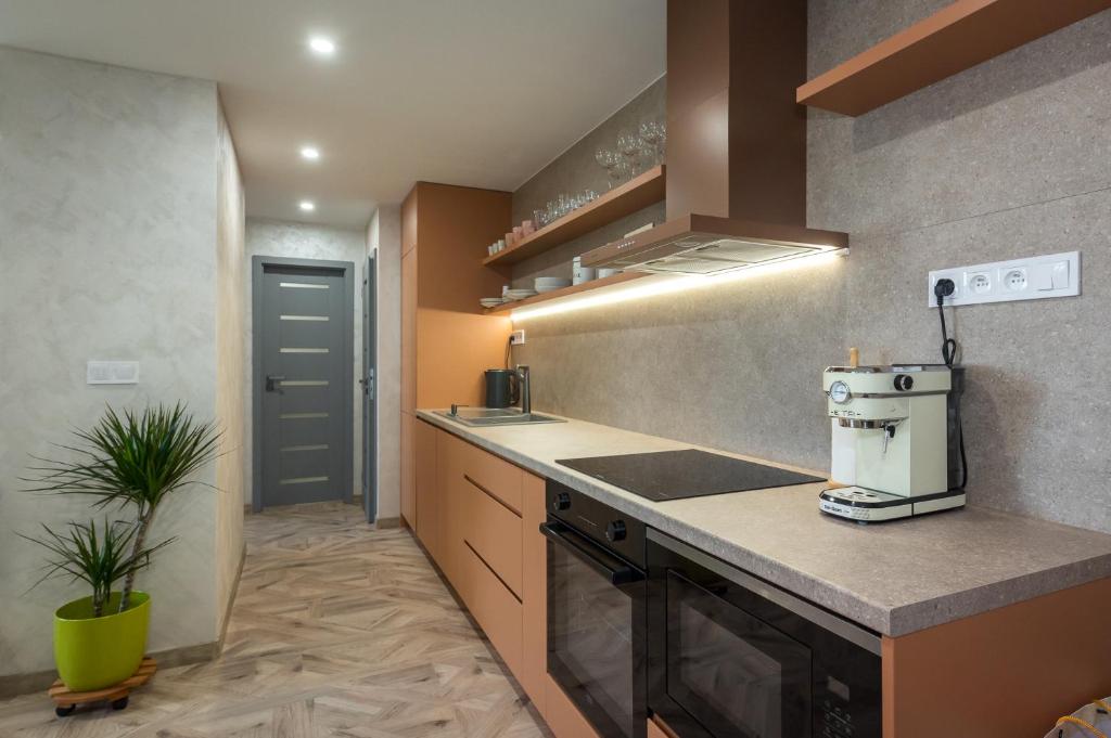 a kitchen with a stove and a sink and a counter at Adela apartment in Košice