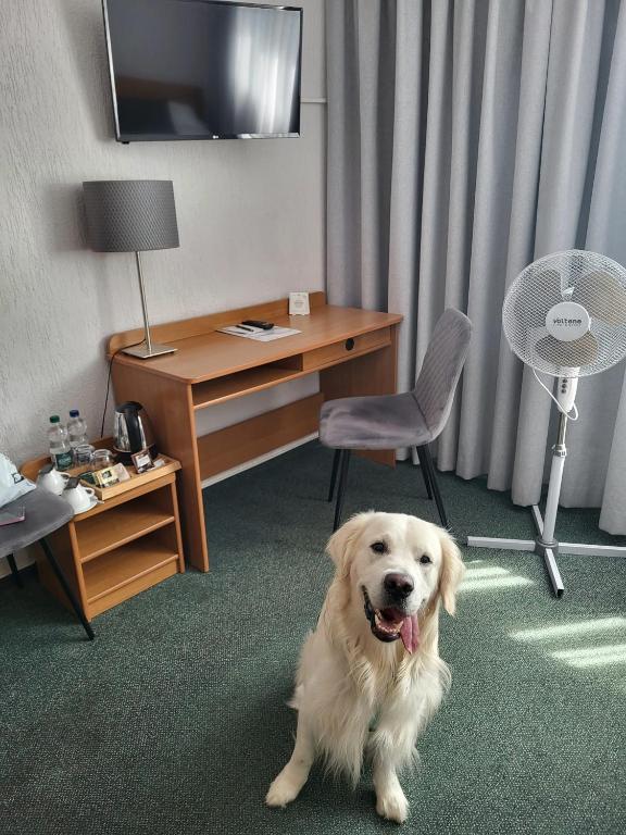 Hotel Gromada Poznan - Resim 23