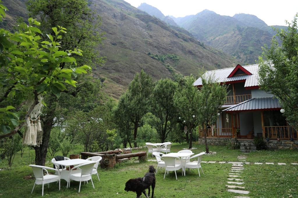 BanjārにあるBoho Grove Cafe & Stay, Tirthan Valleyの家の前の一群