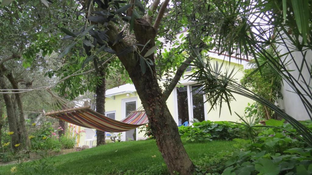 a hammock hanging from a tree in front of a house at Apartment Casetta in Portorož