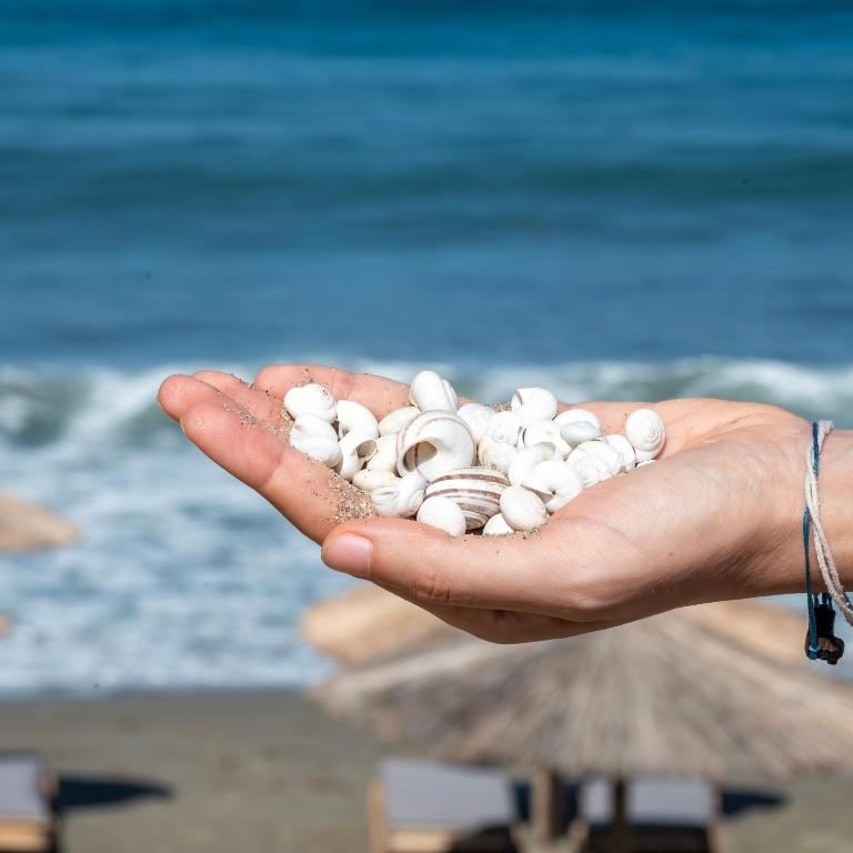 Plakias Bay Hotel - 19