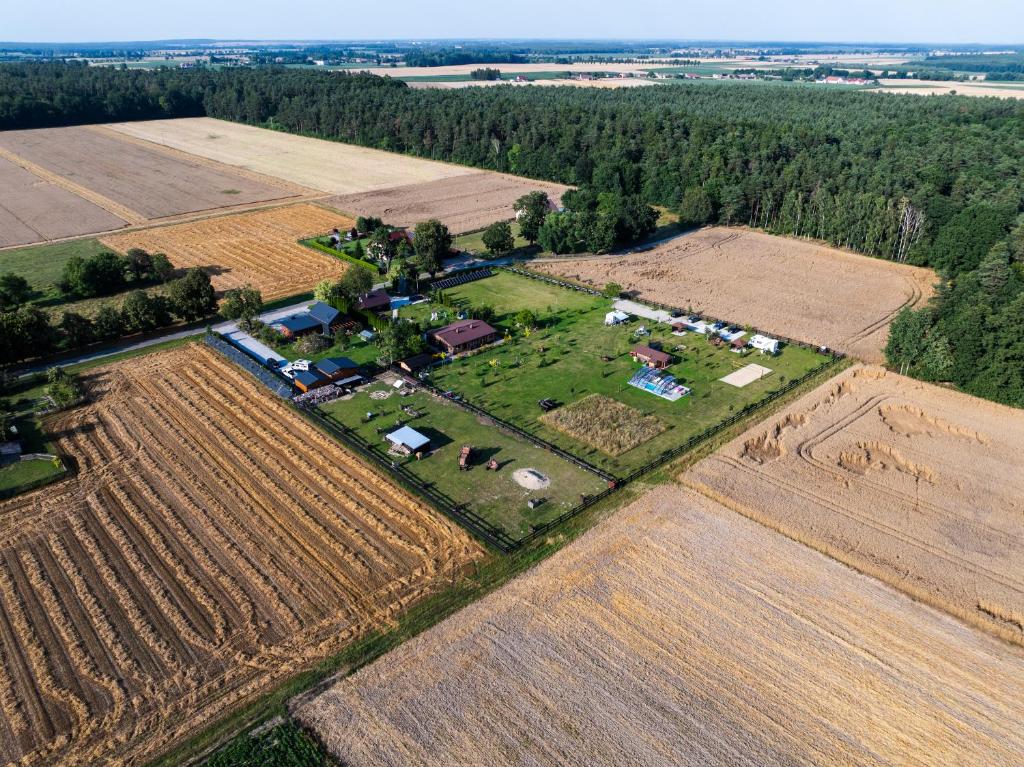 Leśny Zakątek Uroczysko -Apartamenty Nowoczesnej Stodoły - Apartamento Con Terraza