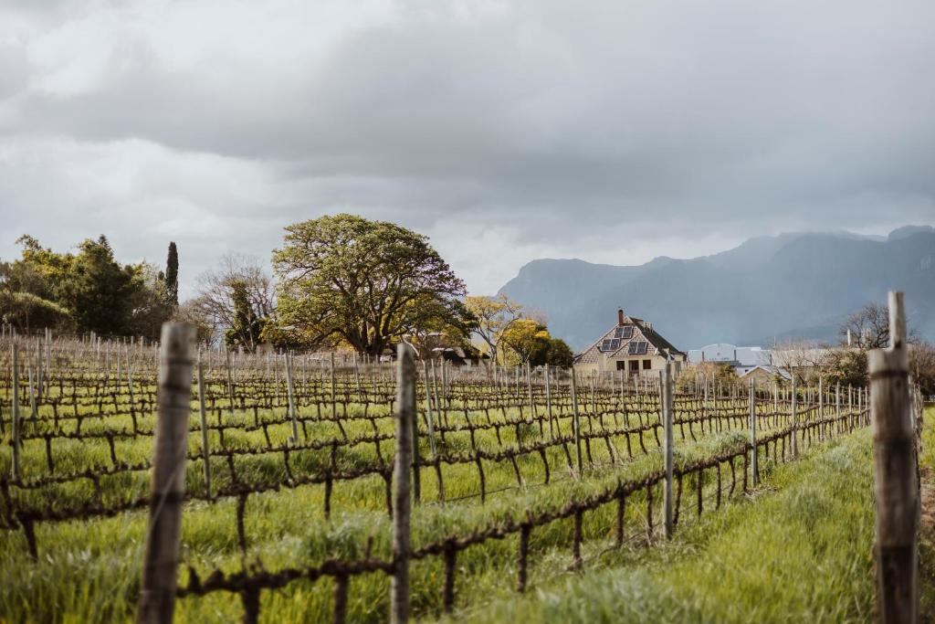 パールにあるLaborie Estateの家と柵のあるブドウ園