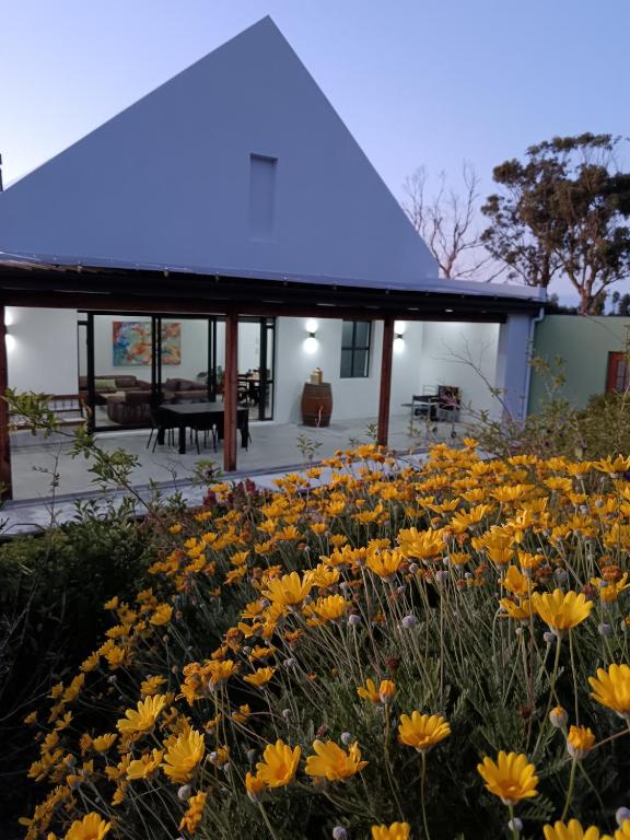 a field of yellow flowers in front of a building at Kiepersol in Gansbaai
