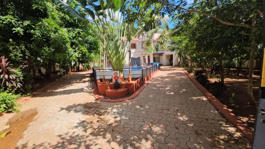 a palm tree in a pot on a sidewalk at Helios Villa in Auroville