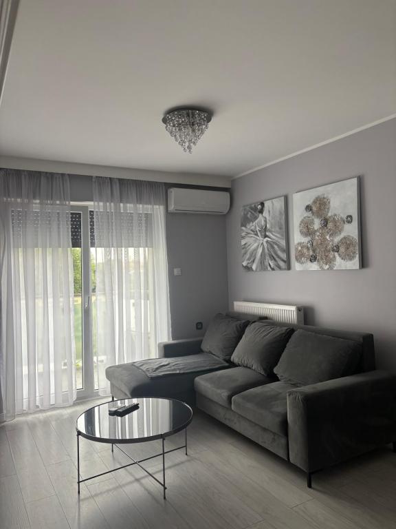 Afbeelding uit fotogalerij van Apartment z Widokiem na Park in Września