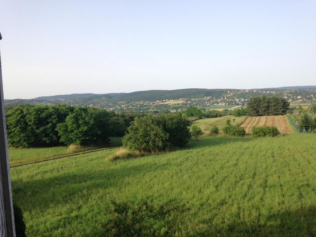 Příroda nedaleko apartmánu