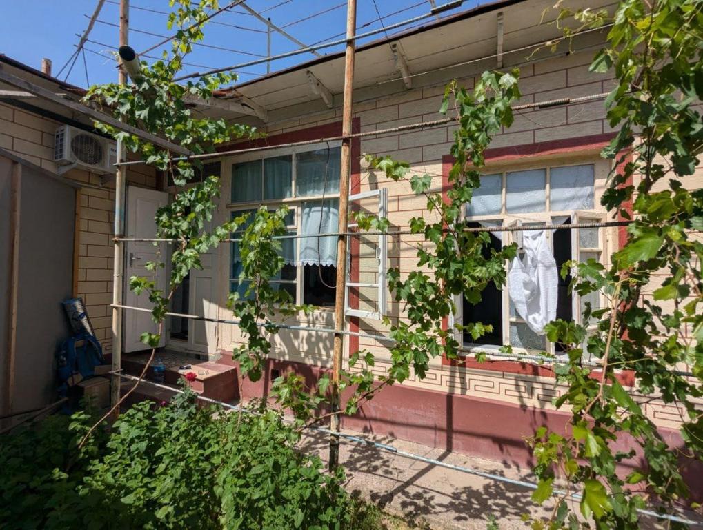 an old pink house with a window and vines at hotel for decent people in Tashkent