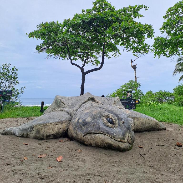 a statue of a turtle sitting in the sand at Georgi, Junquillal in Playa Junquillal