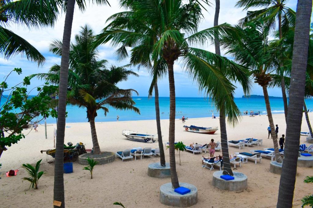 a beach with palm trees and chairs and the ocean at Golden Beach Cottages in Trincomalee