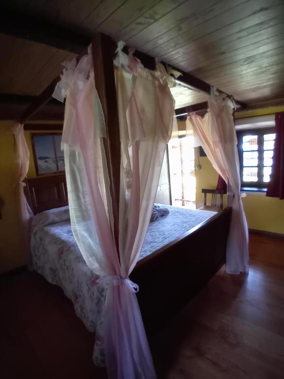 B&B 