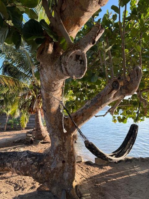 Chez Karlito - photo 8 - Moorea, Polynésie