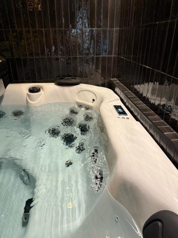Φωτογραφία από το άλμπουμ του Katowice Spa Haven Jacuzzi i Sauna στο Κατοβίτσε