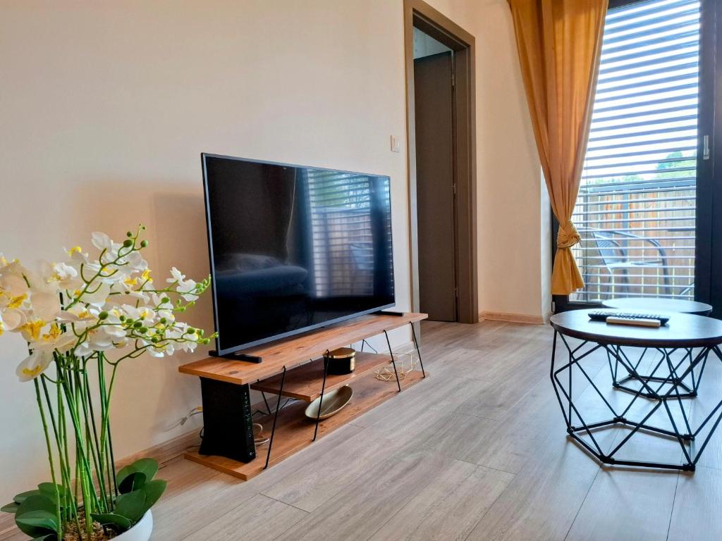 TV a/nebo společenská místnost v ubytování Apartmán Bešeň 305