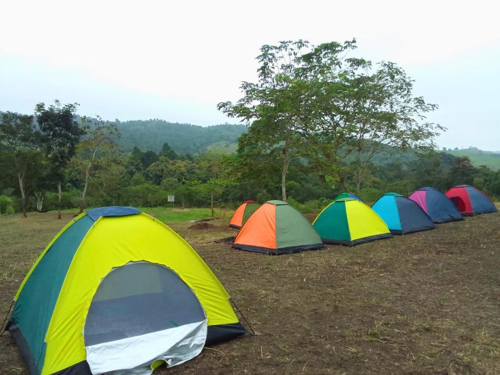 Φωτογραφία από το άλμπουμ του Camping El Cedro σε Santa Elena