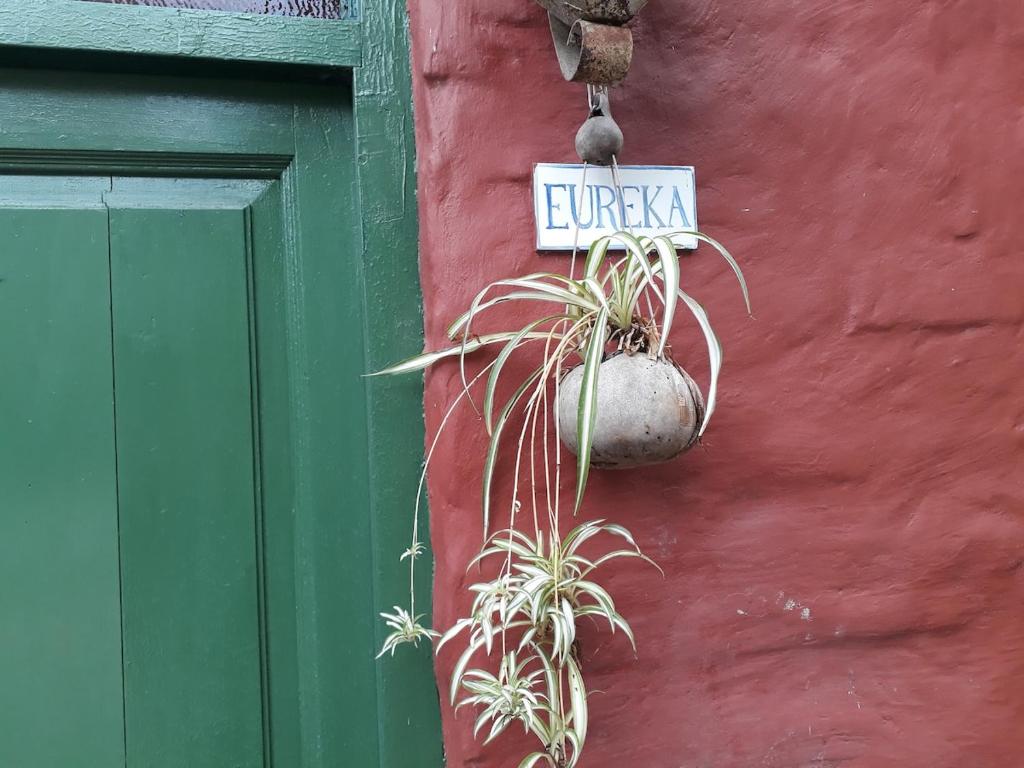 Φωτογραφία από το άλμπουμ του Eureka all year round σε City Bell