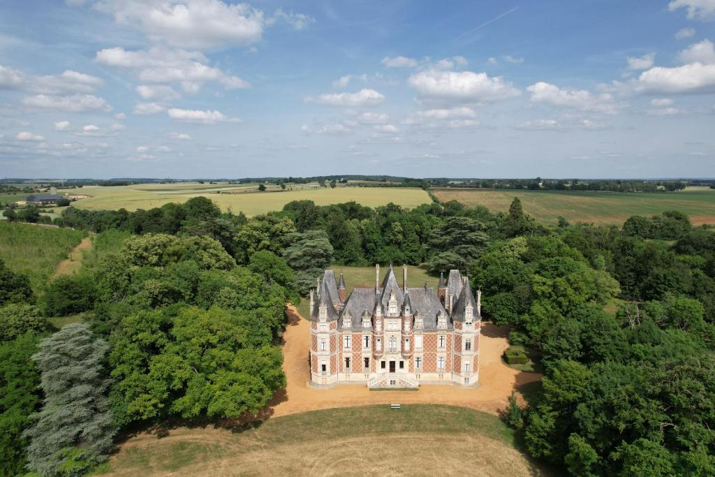 una vista aerea di un castello tra gli alberi di Chateau de Resteau Haut de Gamme 15 pers a Maigné