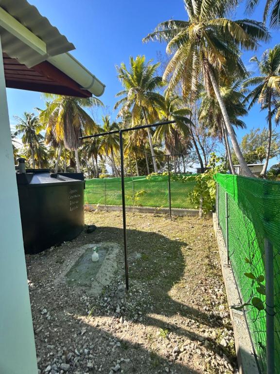 Ori Lodge Rangiroa - photo 10 - Rangiroa, Polynésie