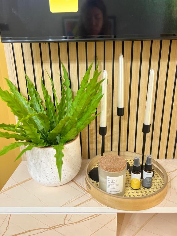 a potted plant sitting on a table with candles at Ezzel’s Place at Marina Spatial Dumaguete City in Dumaguete