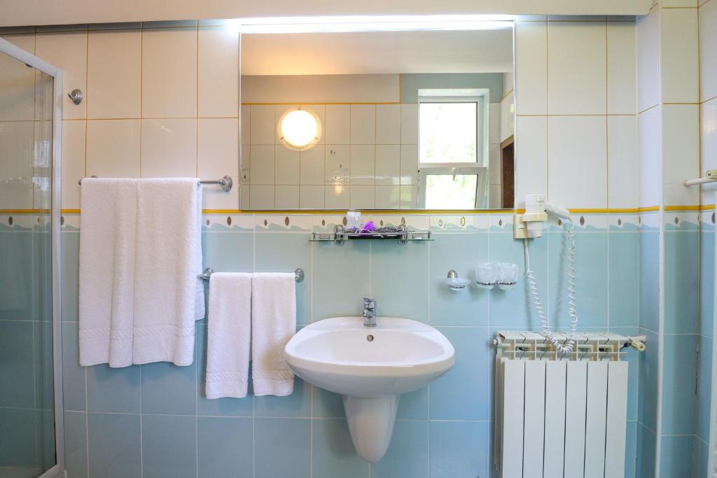 Hotel Roberto Sinaia - Resim 5