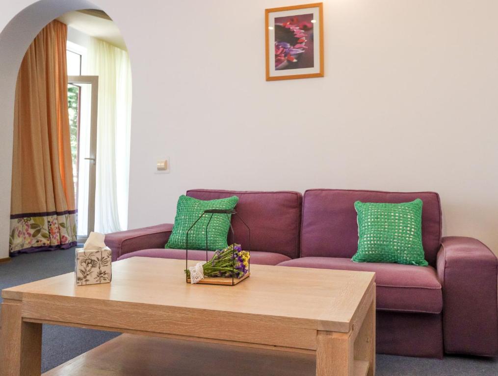 Hotel Roberto Sinaia - Resim 31