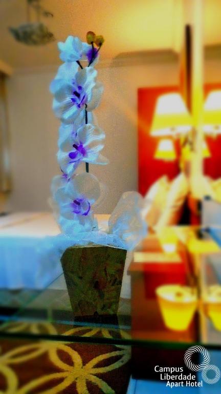  Campus Liberdade Flat