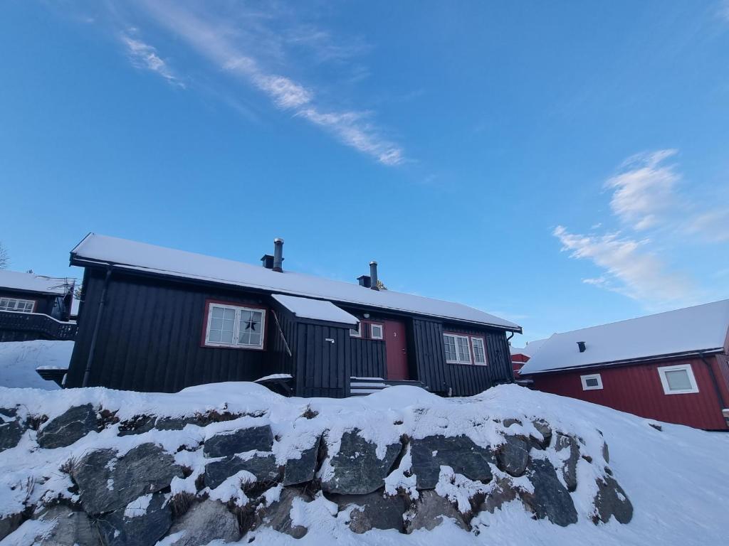 a house with snow on the ground in front of it at Koselig hytte sentralt på Norefjell, ski in & out in Surteberg