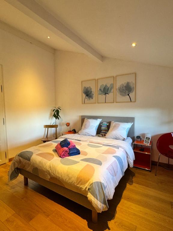 a bedroom with a large bed in a room at Chambre au calme & salle de bain privée in Divonne-les-Bains