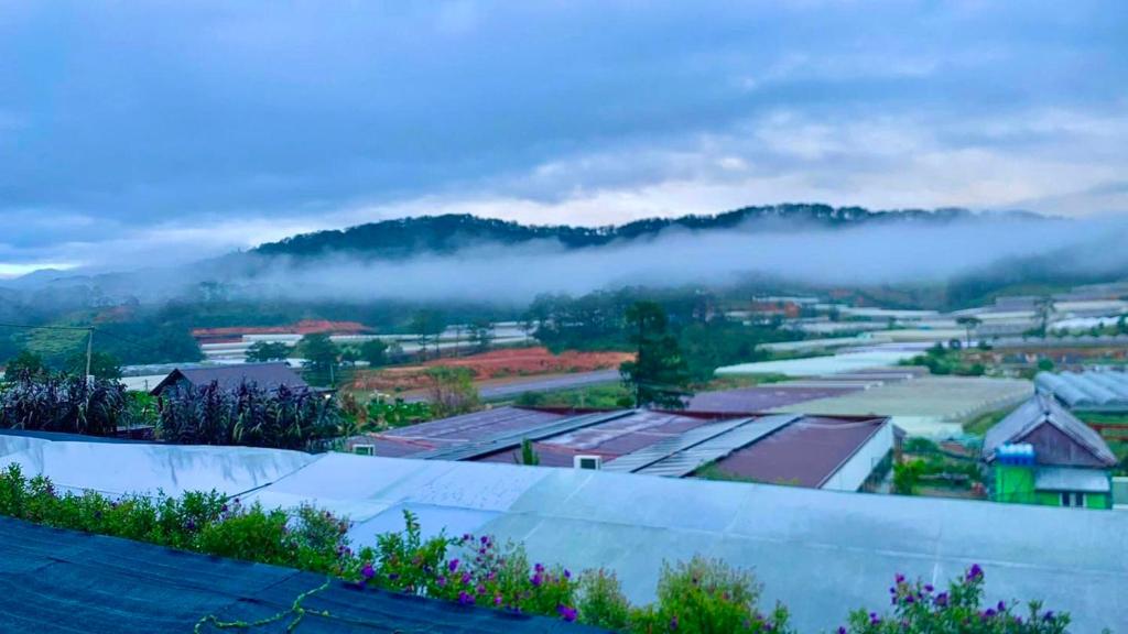 Biệt Thự 2 Phòng Ngủ