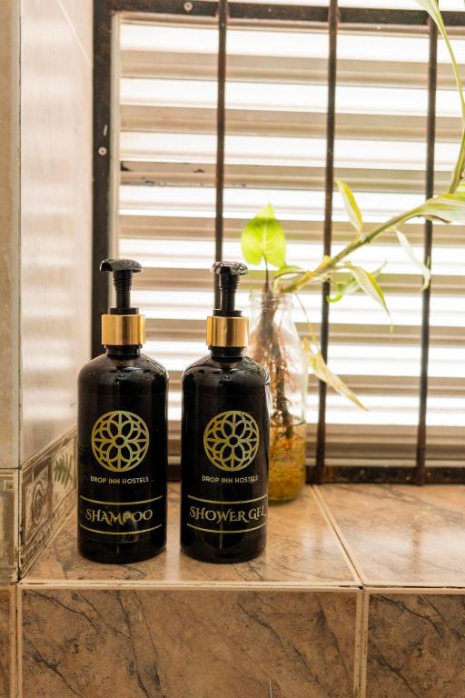 Drop Inn Hostels - 3