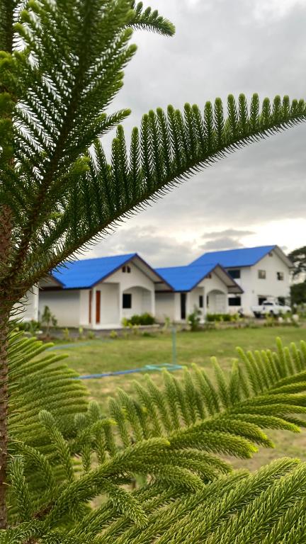 a view of a house from behind a tree at Route652 Resort Singburi in In Buri