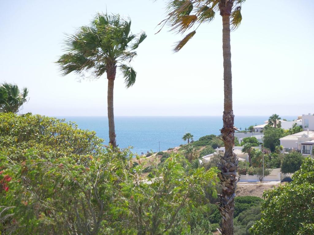 a view of the ocean from a resort with palm trees at Large three-bedroom apartment in Lagos