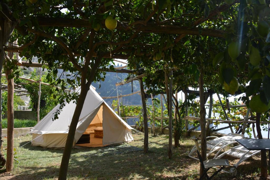 Zahrada ubytování Bella Baia Campsite