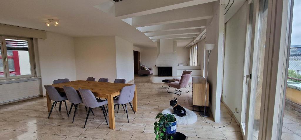 View of Penthouse with jacuzzi, sauna and rooftop, Zurich (updated prices 2026)