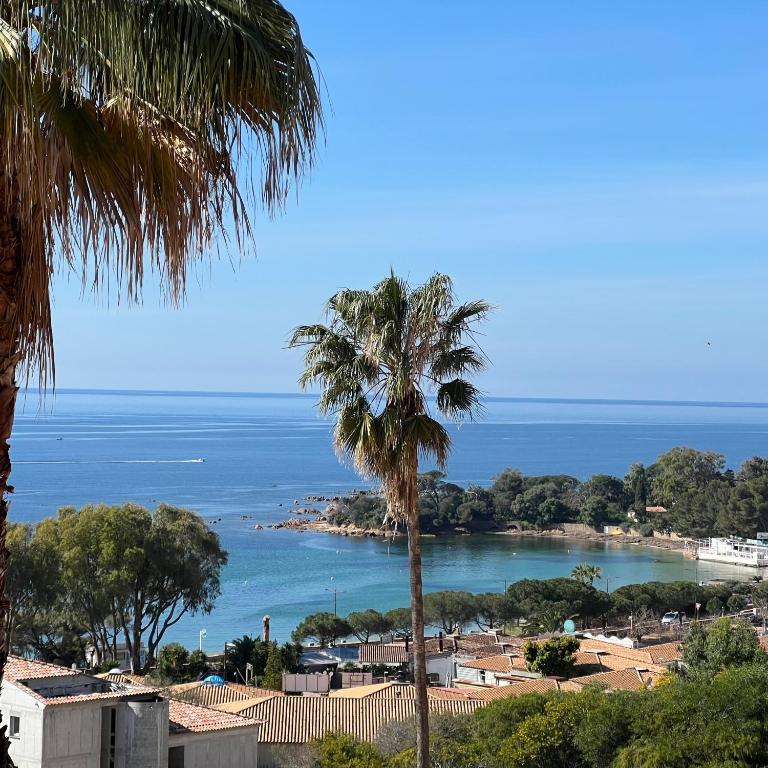 - une vue sur la plage avec un palmier dans l'établissement Quintessenza Casa in Ajaccio, à Ajaccio